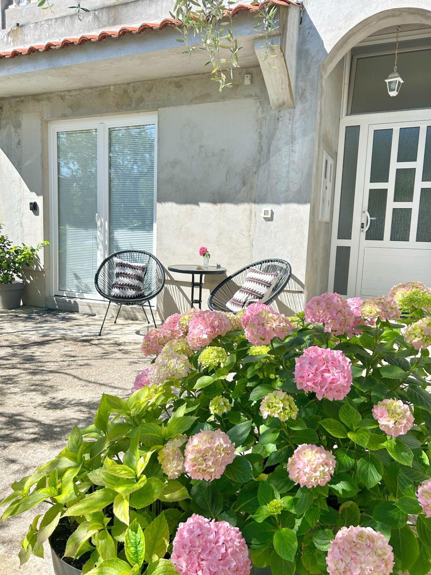 Apartments D&A Zadar Exterior photo